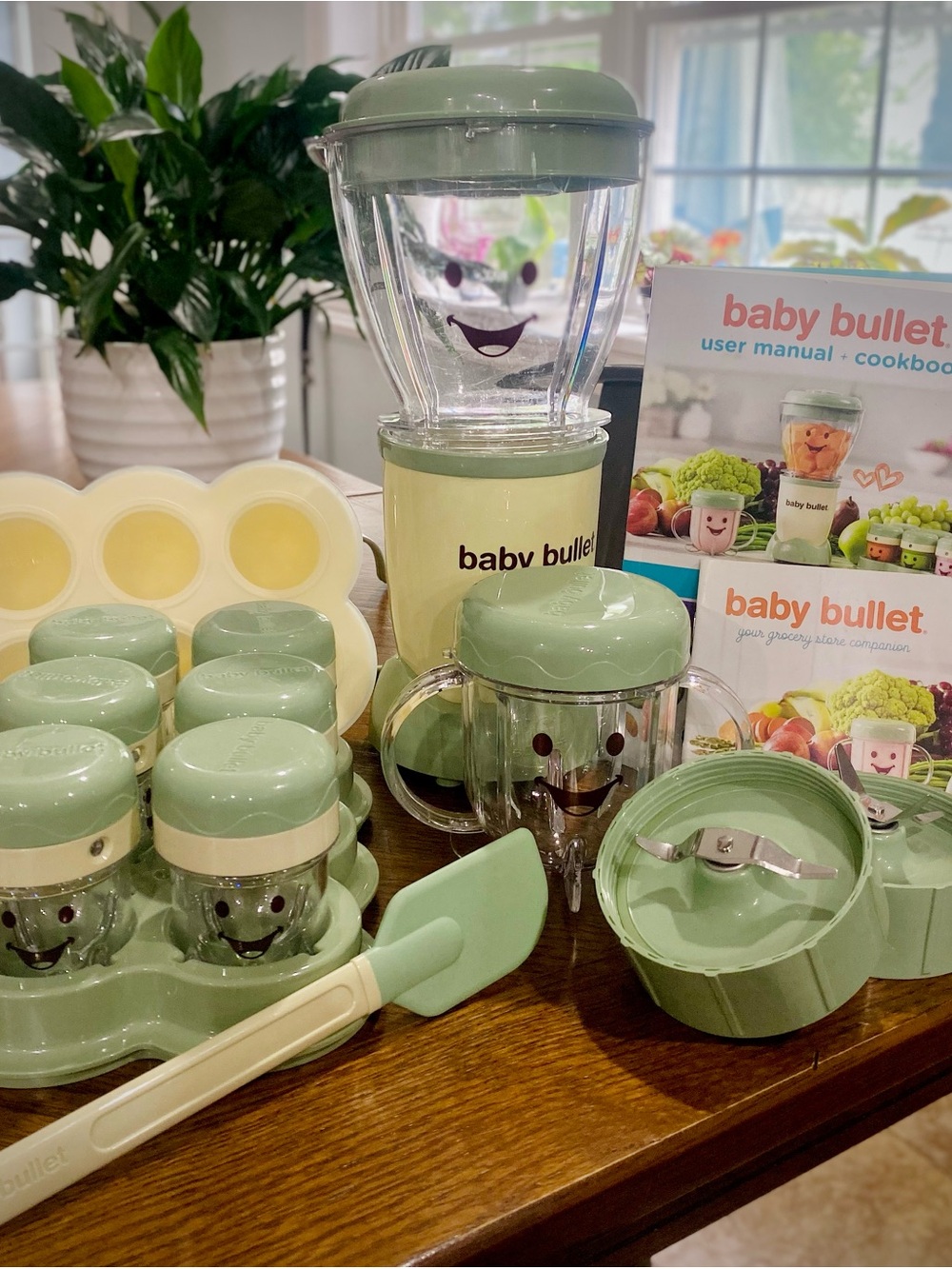 Baby Bullet Baby Food Maker Set in Sage Green